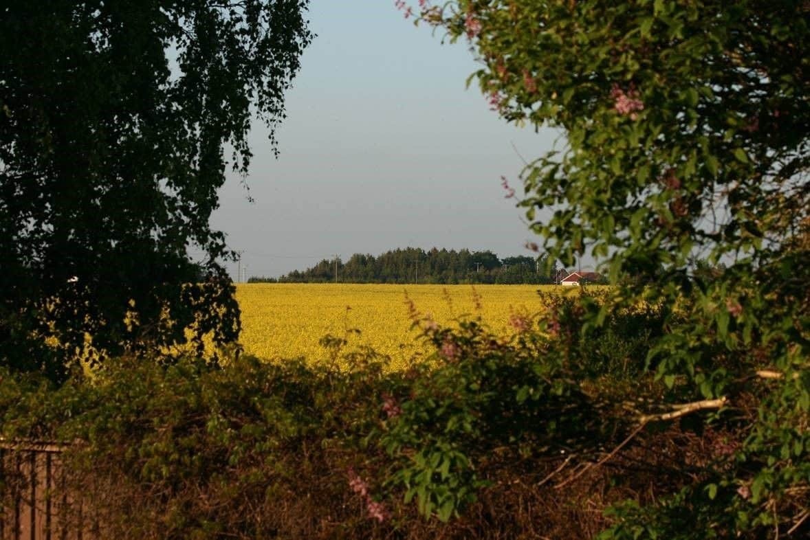 Lilla Huset Pa Slaetten B&B Лунд Экстерьер фото